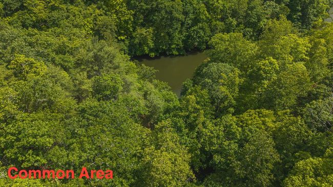 4042 Cabin Land Dr, Home with 3 bedrooms, 3 bathrooms and null parking in Radford VA | Image 42