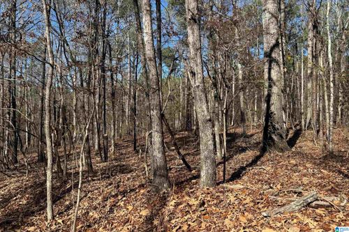 43-Lot 43 Beach Island Trace, DADEVILLE, AL, 36853 | Card Image