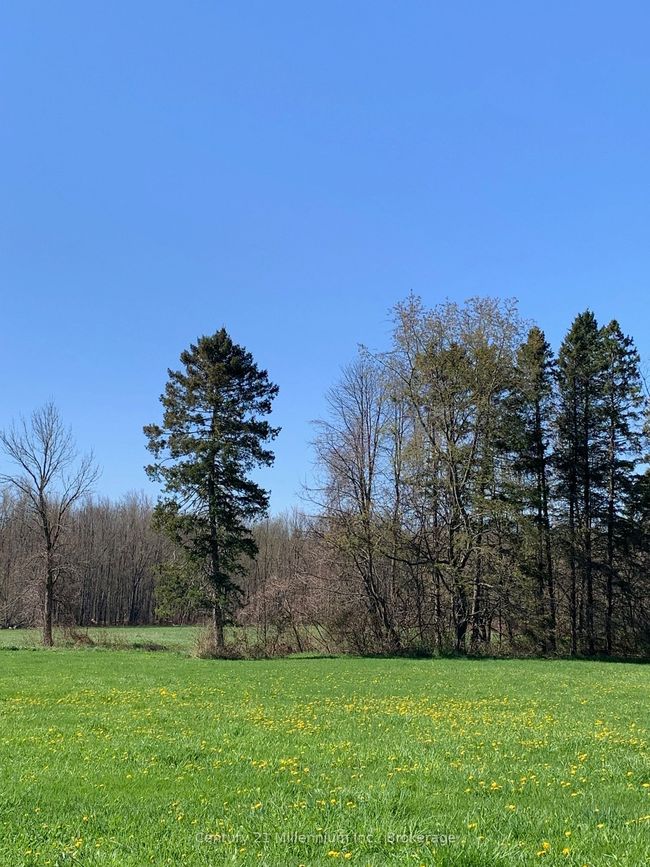 264094 Sideroad 24, Home with 2 bedrooms, 2 bathrooms and 5 parking in Municipality Of Meaford ON | Image 8