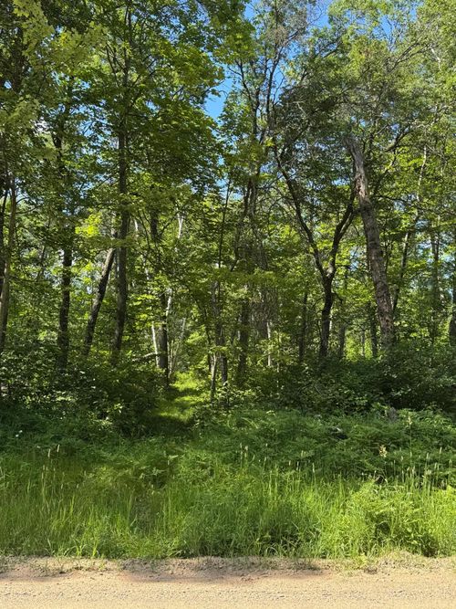 TBD Blue Ridge Dr, Pequot Lakes, MN, 56472 | Card Image