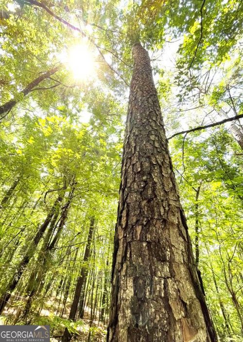 0 Crawfordville Rd, Rayle, GA, 30660 | Card Image