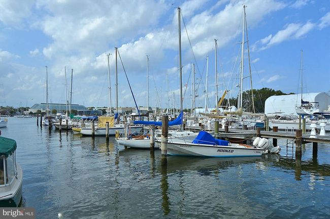 APT-202 - 1136 Cove Rd, Condo with 1 bedrooms, 1 bathrooms and null parking in ANNAPOLIS MD | Image 46