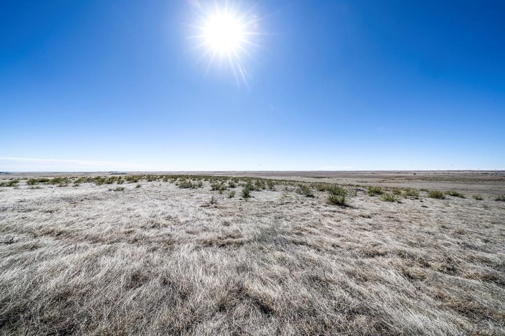Land in Calhan 2