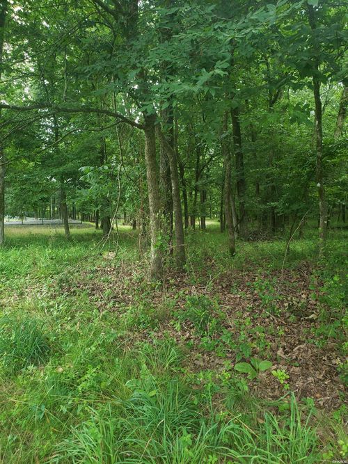 5036 Dixie Cir, Hot Springs National Park, AR, 71913 | Card Image