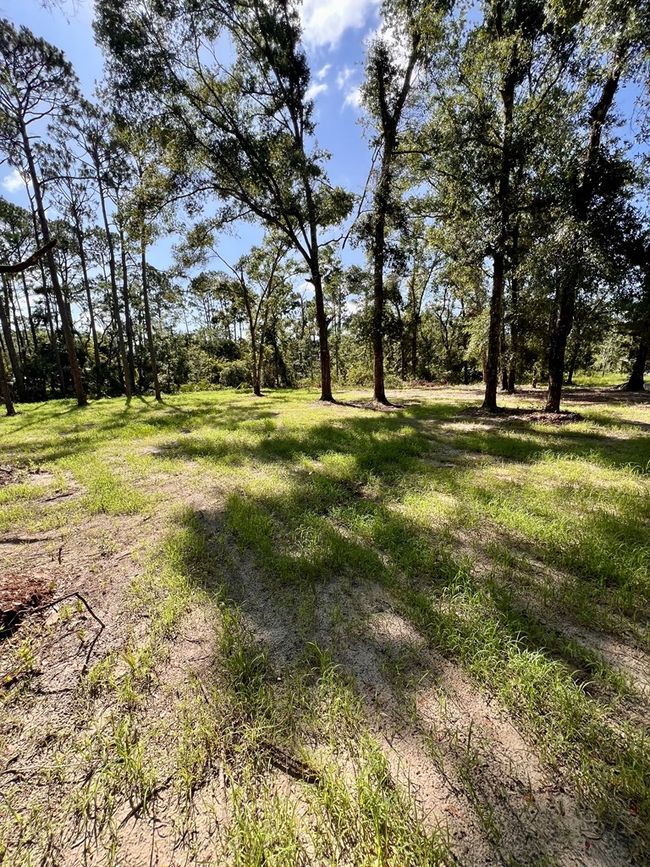 0 Ne Webb Ln, Home with 0 bedrooms, 0 bathrooms and null parking in Steinhatchee FL | Image 8