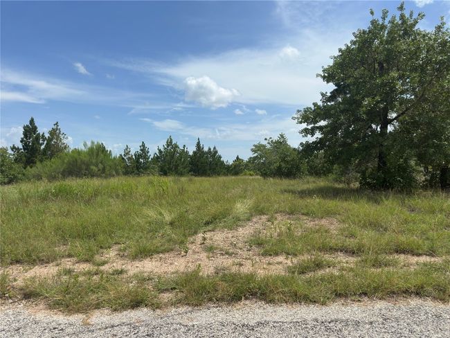 View of lot | Image 7