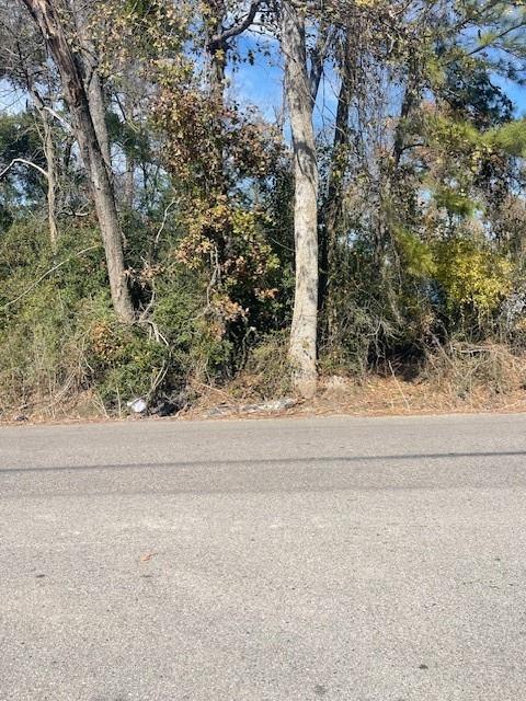 Land in Houston 4