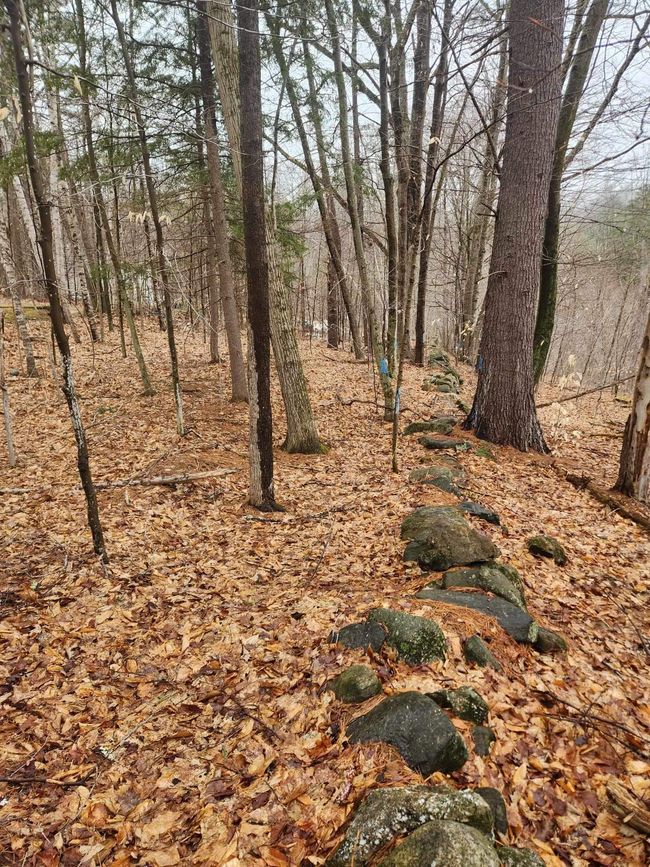 0 Dock Rd, Home with 0 bedrooms, 0 bathrooms and null parking in Gilmanton NH | Image 7