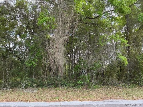 1656 W Beach Plum Drive, Citrus Springs, FL, 34434 | Card Image