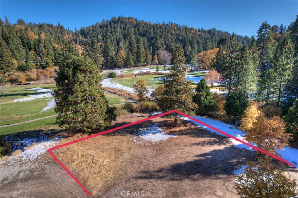 Land in Lake Arrowhead 3