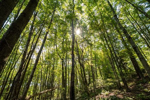 117 Blackthorn Dr, Butler, PA, 16002-3915 | Card Image