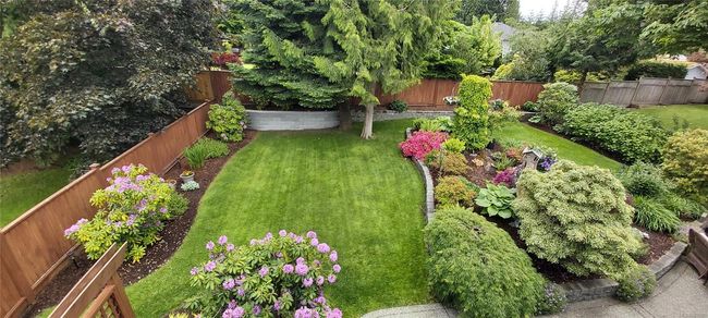 Summer Rendering | Image 58
