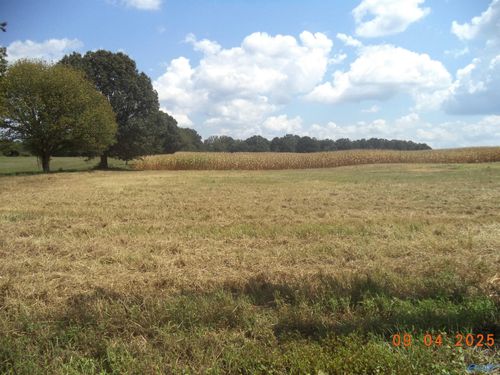 161 Jones Rd, Hazel Green, AL, 35750-9694 | Card Image