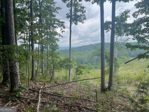 lot-3-0 White Oak Rd, Summerville, GA, 30747 | Card Image