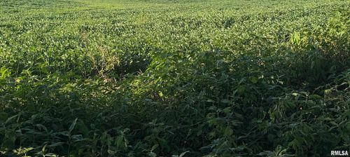 TBD Truax Traer Rd, Elkville, IL, 62932 | Card Image