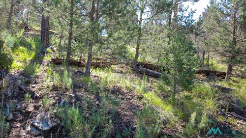 21-213 Snow Park Rd, Alto, NM, 88312 | Card Image