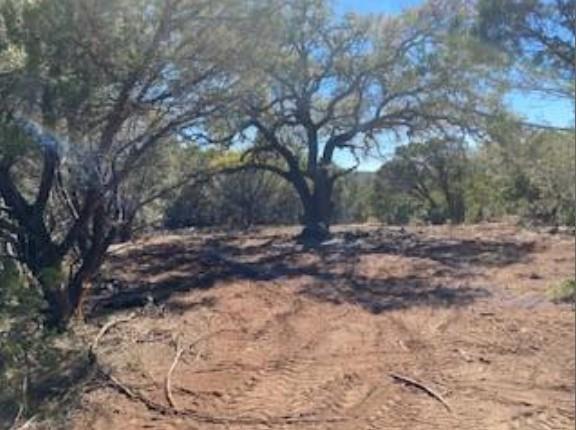 Land in Evant 3