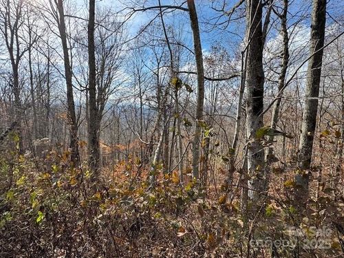 50 Scenic Wolf Dr, Mars Hill, NC, 28754-9335 | Card Image