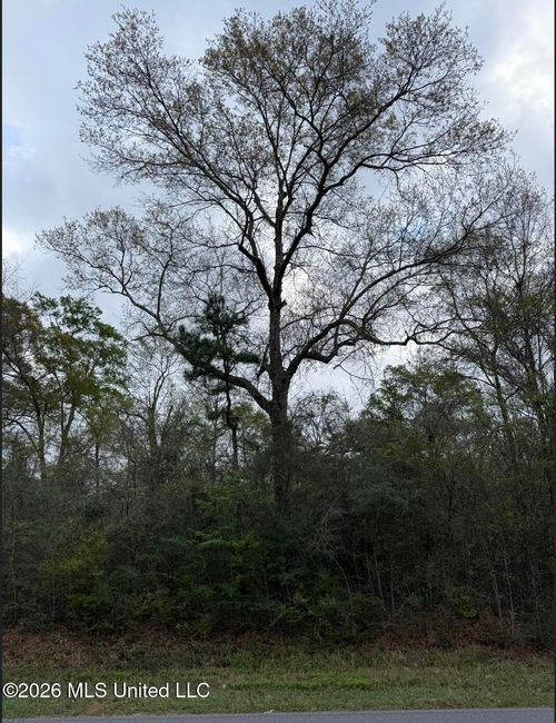 Lot 10 Northrup Cuevas Road, Gulfport, MS, 39503 | Card Image