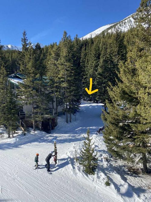 40 Gravenstafel Gate, Rural Pincher Creek No. 9, M.d. Of, AB, T0K1W0 | Card Image