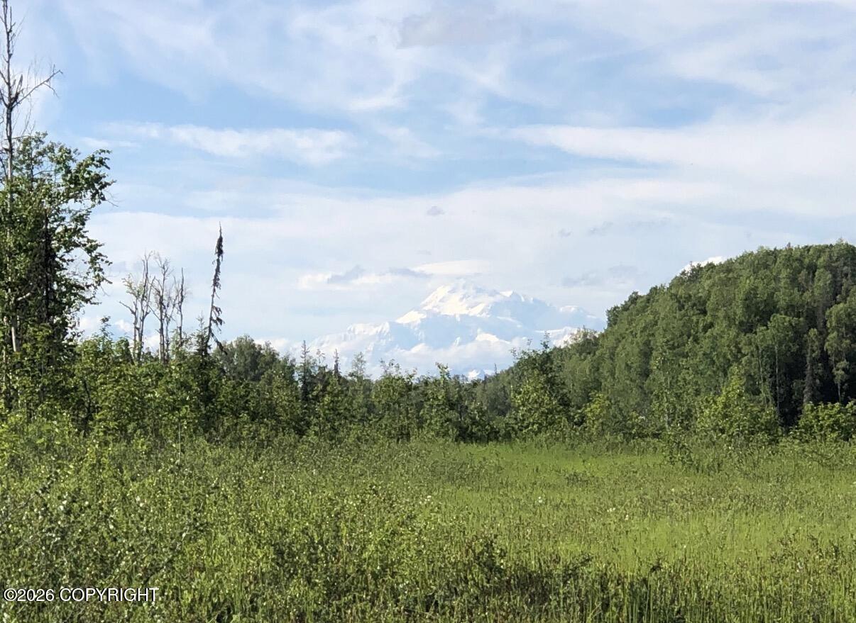 Land in Talkeetna 3