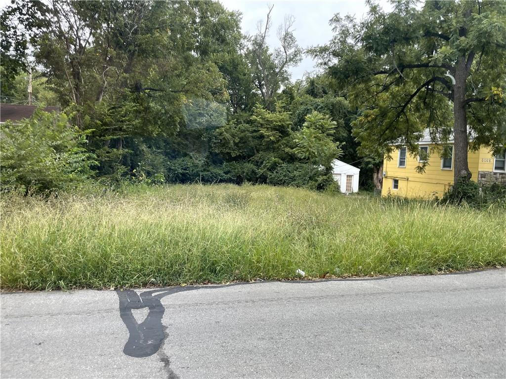 Brooklyn Ave, Kansas City, MO 64132 #1