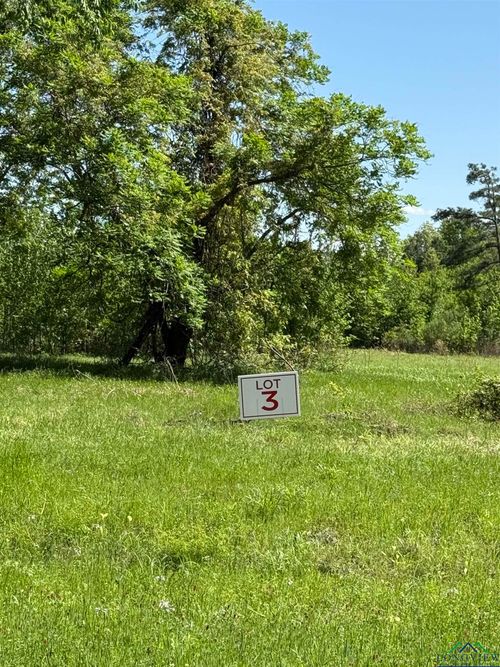 TBD LOT 3 S Fm 839, Henderson, TX, 75652 | Card Image