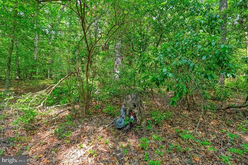 0 Alsop Way, Spotsylvania, VA, 22551 | Card Image