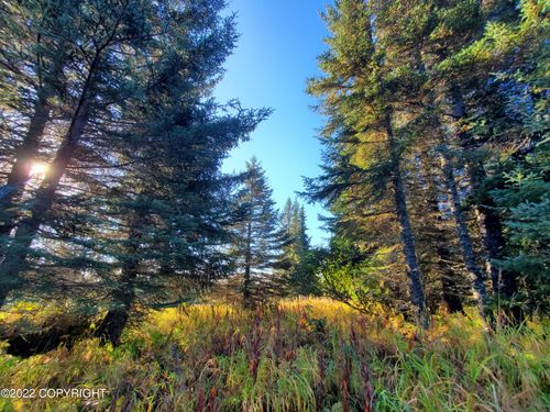 67572 Shavila Road, Ninilchik, AK, 99639 | Card Image