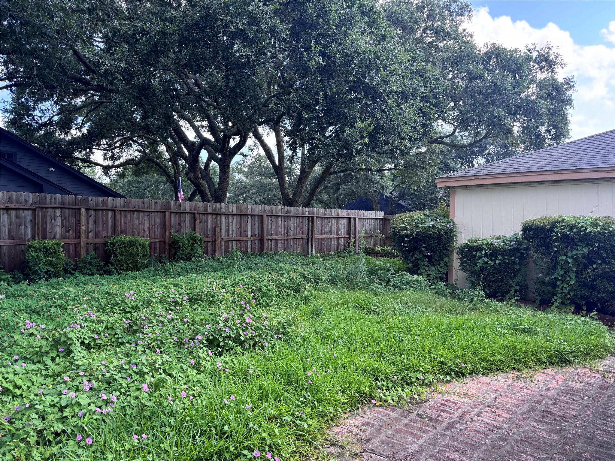 Residential in Katy 5
