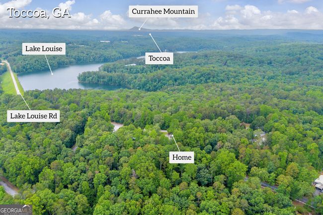 2253 Lake Louise Rd, House other with 4 bedrooms, 3 bathrooms and null parking in Toccoa GA | Image 58