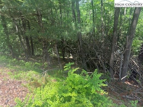 58-TBD Deerwood Road, Sparta, NC, 28675 | Card Image