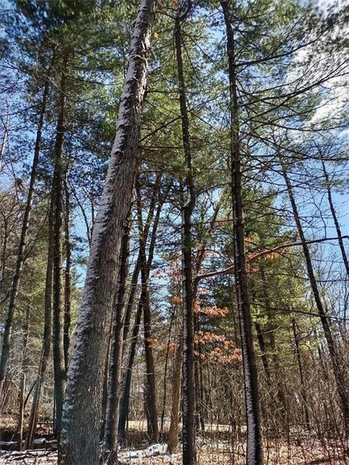 Lot 18 N4XX 297th St, EAU GALLE, WI, 54737 | Card Image