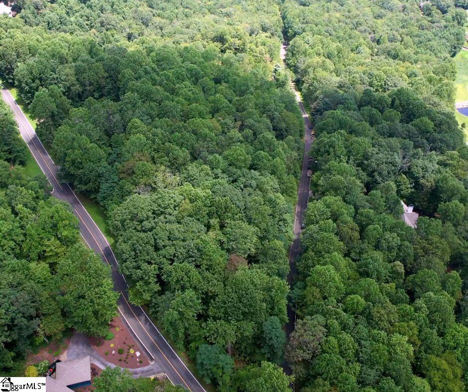 Land in Landrum 2