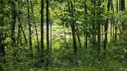 0 Westland Dr, Bouckville, NY, 13310 | Card Image