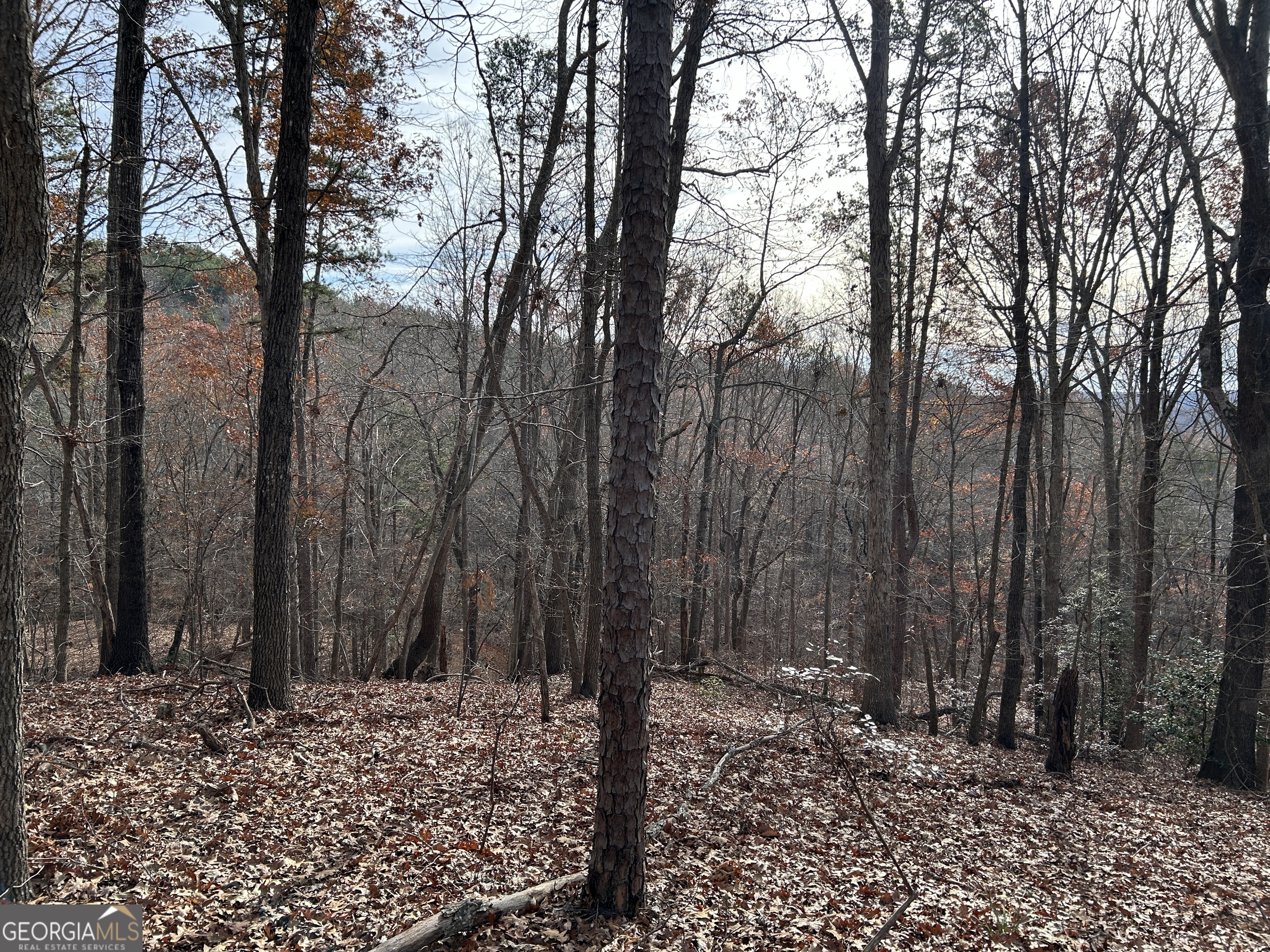 Land in Baldwin 2