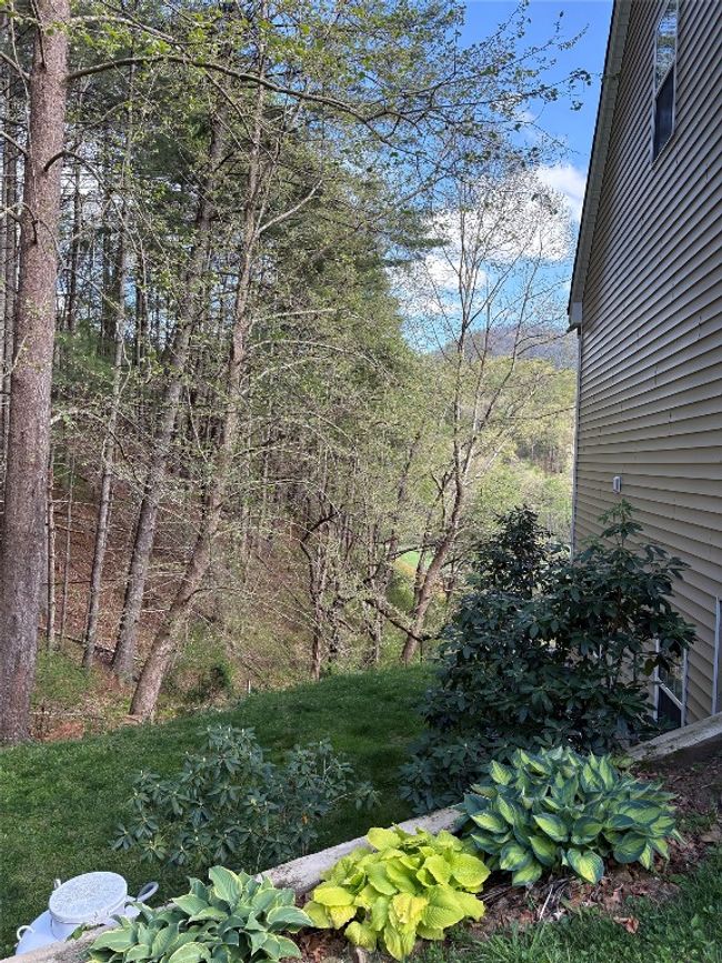 210 Triple Fork Rd, House other with 3 bedrooms, 3 bathrooms and null parking in Cullowhee NC | Image 13