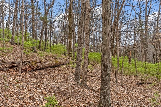 0 Kenesaw Dr, Home with 0 bedrooms, 0 bathrooms and null parking in Nashville TN | Image 21