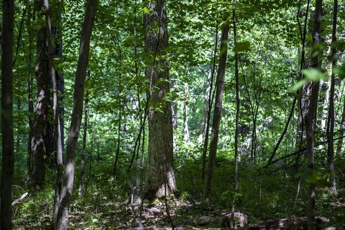80 Acres County Road V, DEERFIELD, WI, 54943 | Card Image