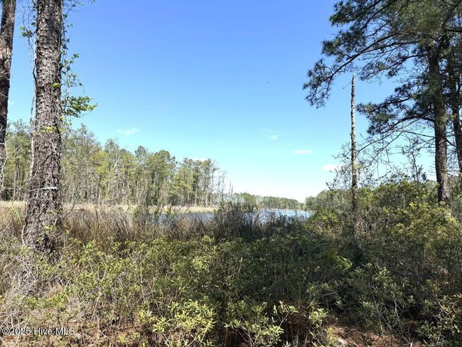 18 Davis Ln, Home with 0 bedrooms, 0 bathrooms and null parking in Belhaven NC | Image 17
