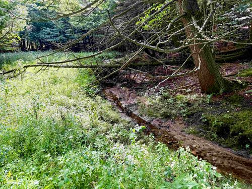 161 W Nachazel Rd, Maple City, MI, 49664-9778 | Card Image