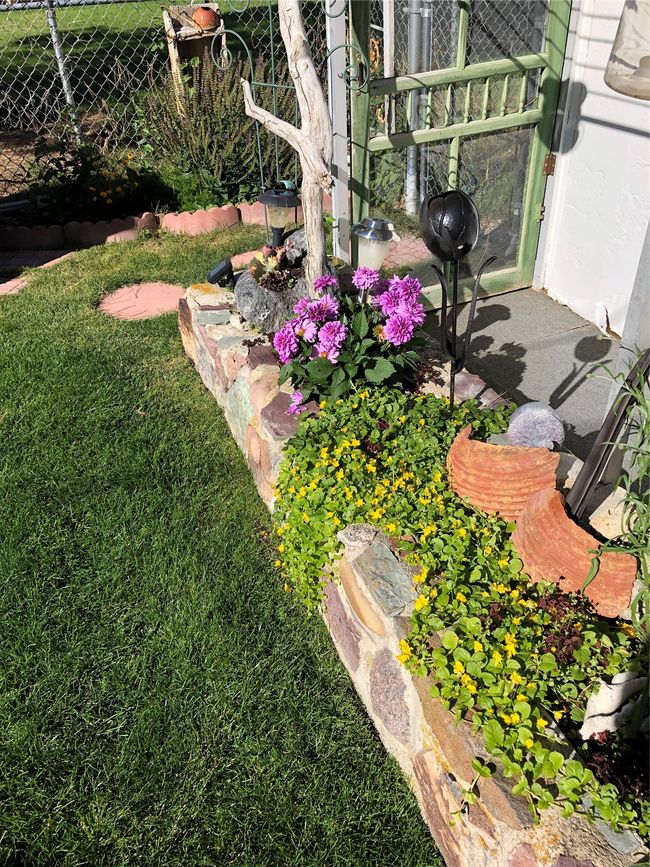 View of yard | Image 29