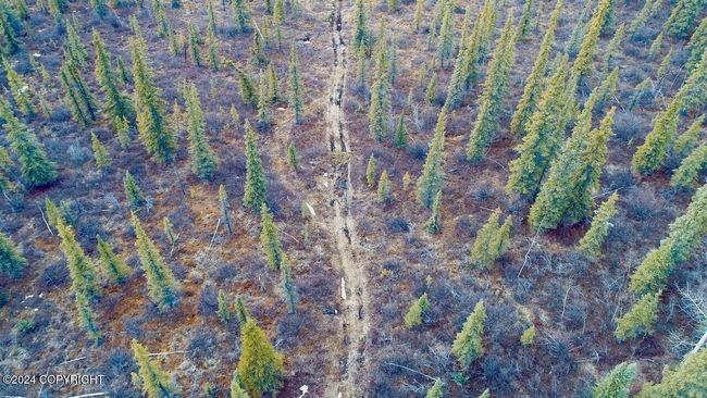 9 | Image 5