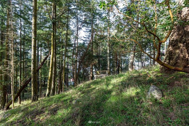 0 Afterglow Dr, Home with 0 bedrooms, 0 bathrooms and null parking in Friday Harbor WA | Image 18