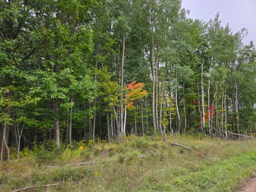 xxxx Tract C Pioneer Road, Barnum, MN, 55707 | Card Image