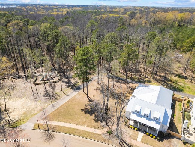 Lost Rabbit Lot-6 | Image 6