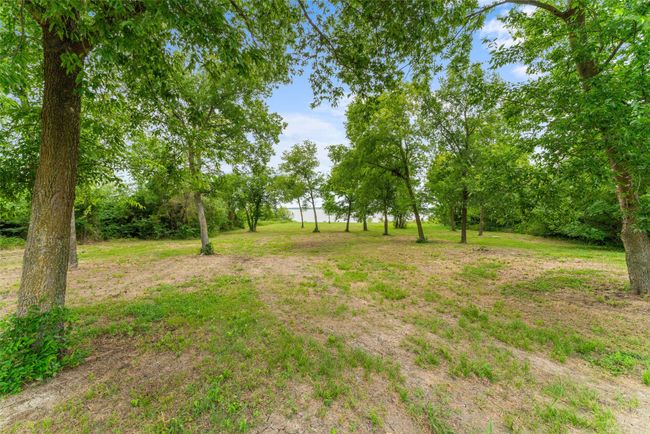 View of yard | Image 7