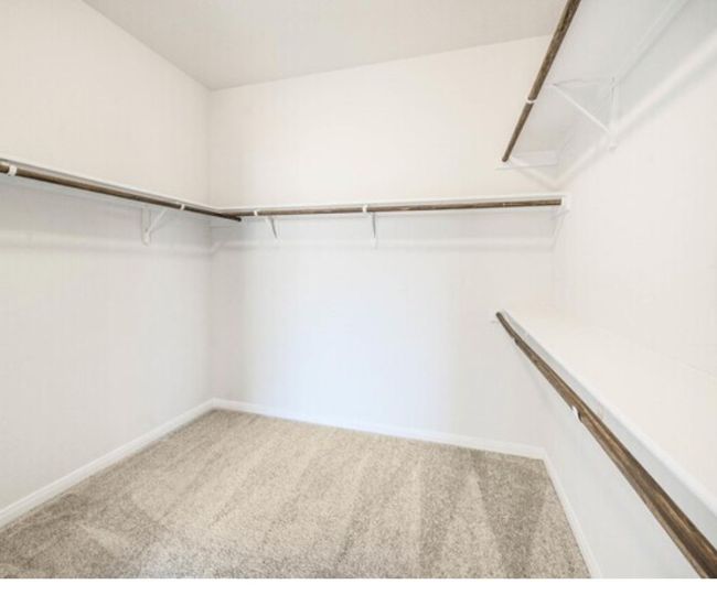 Walk in closet featuring carpet floors | Image 13