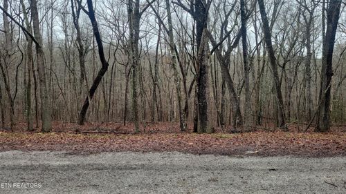 19 Ashford Pl, Crossville, TN, 38558-6900 | Card Image