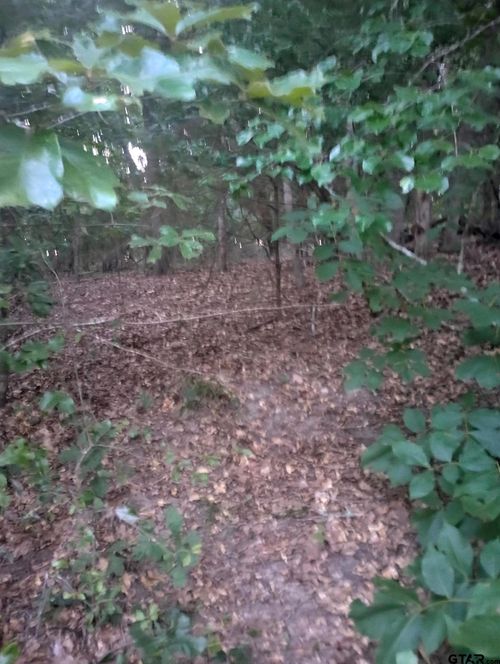 0000 Wildwood, Murchison, TX, 75778 | Card Image